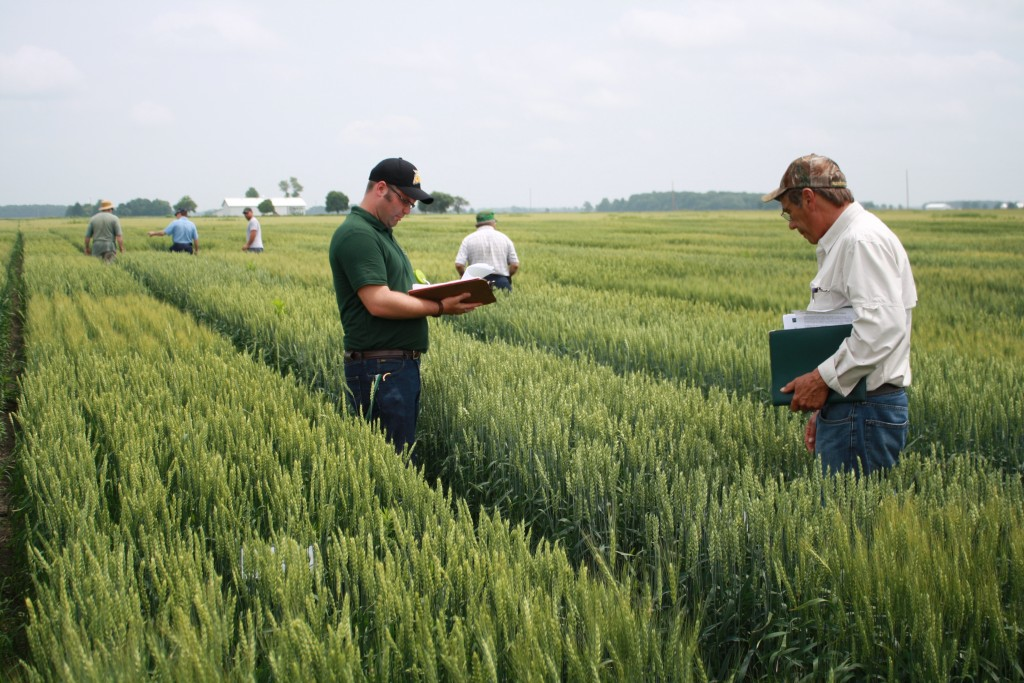 Lenawee County wheat field day-Events page